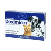 DOXIMICIN® 100 mg x 10 comprimidos